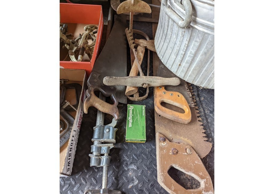 PXL 20220323 162552228