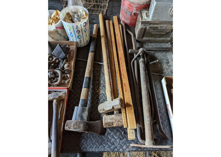 PXL 20220323 162610672