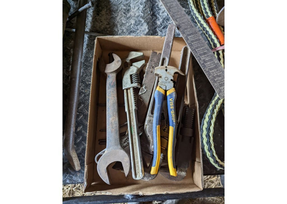 PXL 20220323 162615185