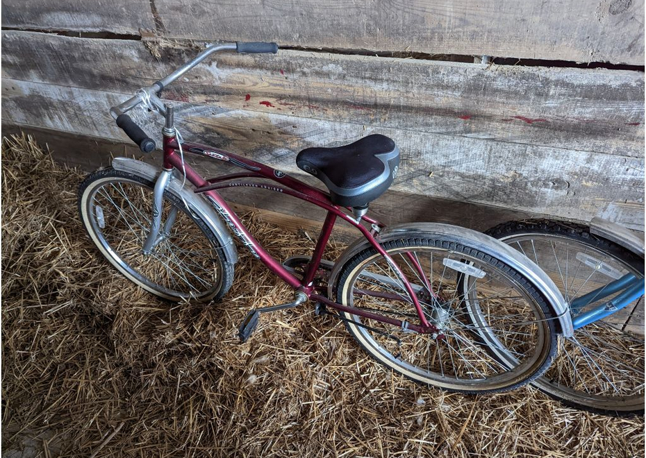 PXL 20220323 162620367