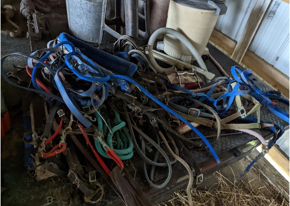 PXL 20220323 162633075