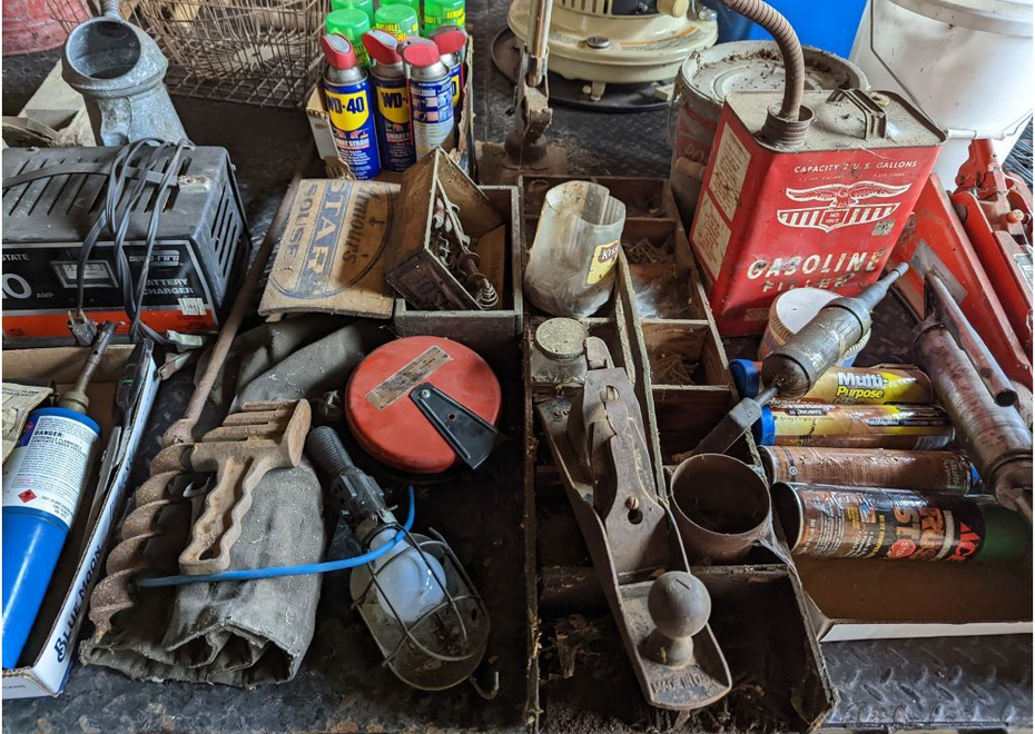 PXL 20220323 162647951