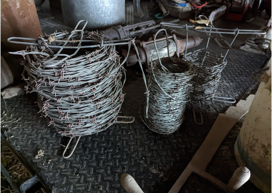 PXL 20220323 162717519