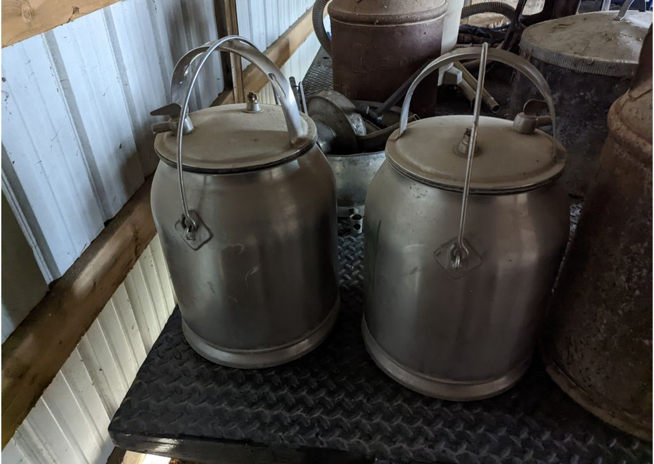 PXL 20220323 162725447