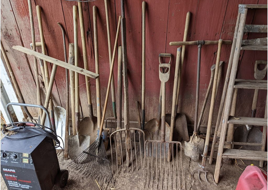 PXL 20220323 162853992