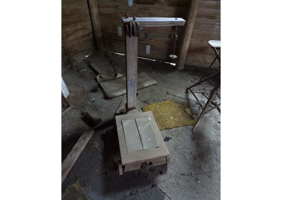 PXL 20220323 162911086