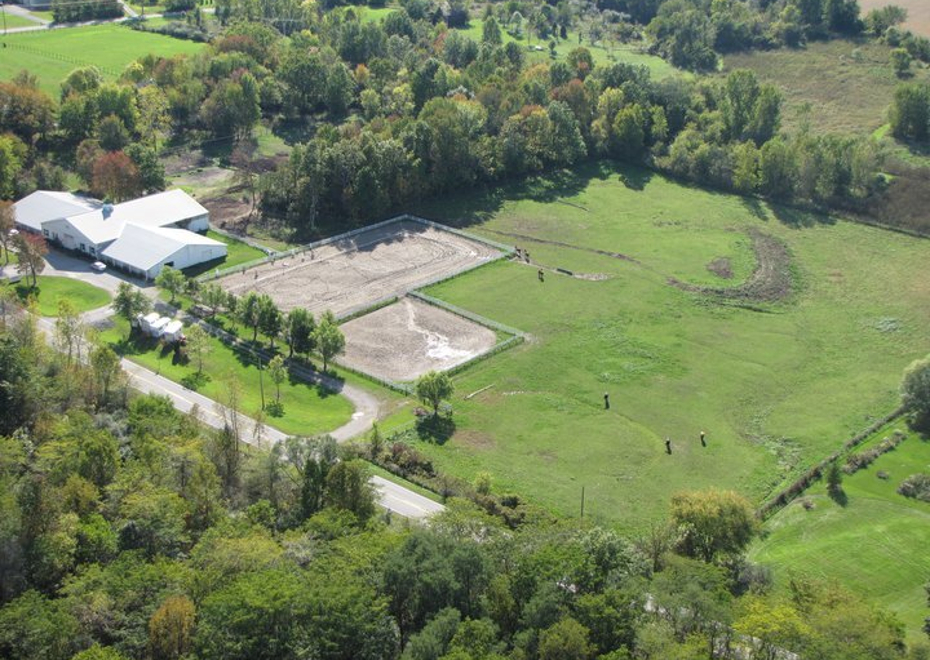 Real estate auction 1