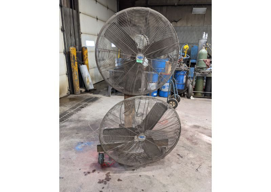 PXL 20210204 143625684