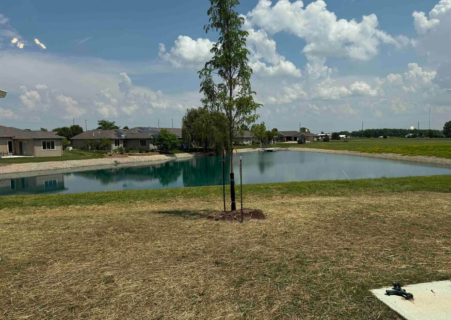 Remote image