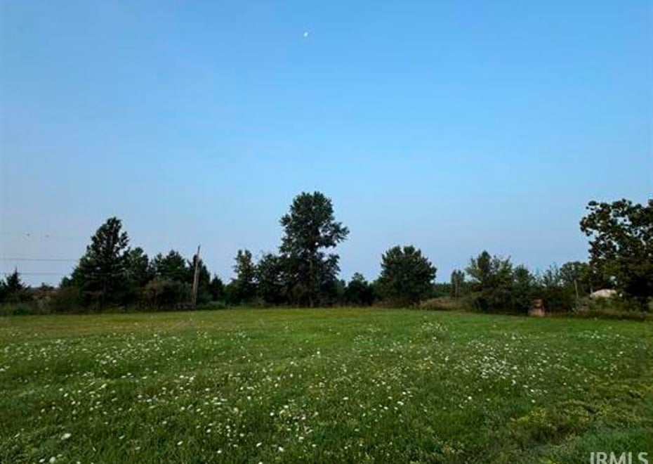 Remote image