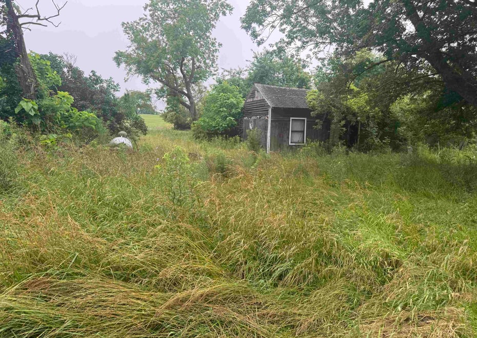 Remote image