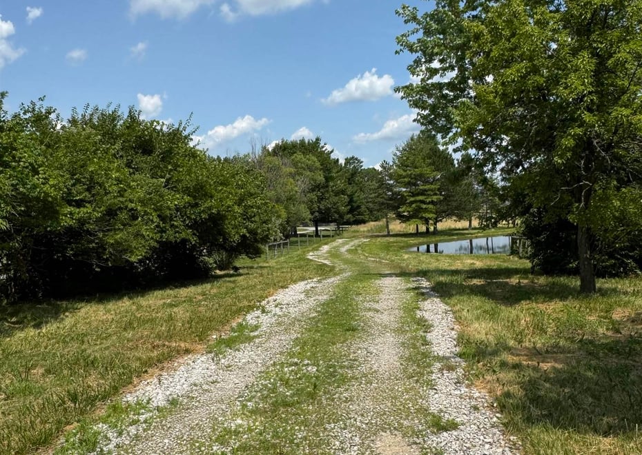 Remote image