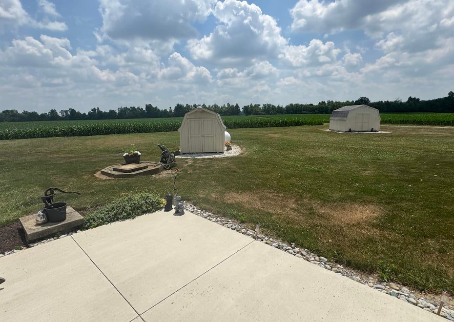 Remote image