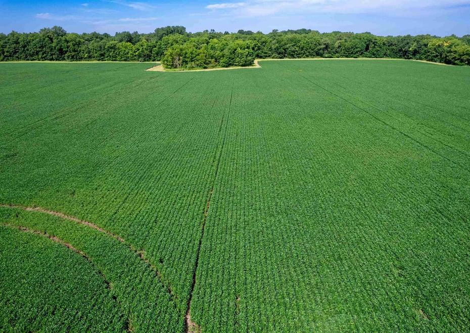 Remote image