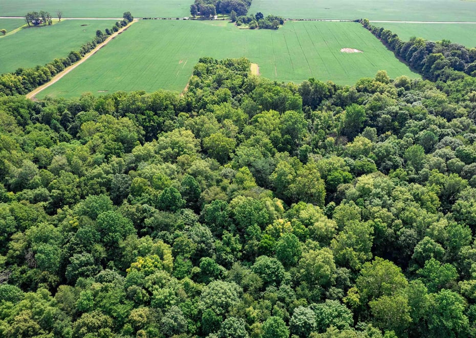 Remote image