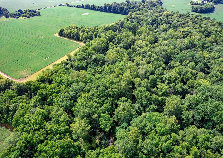 Remote image