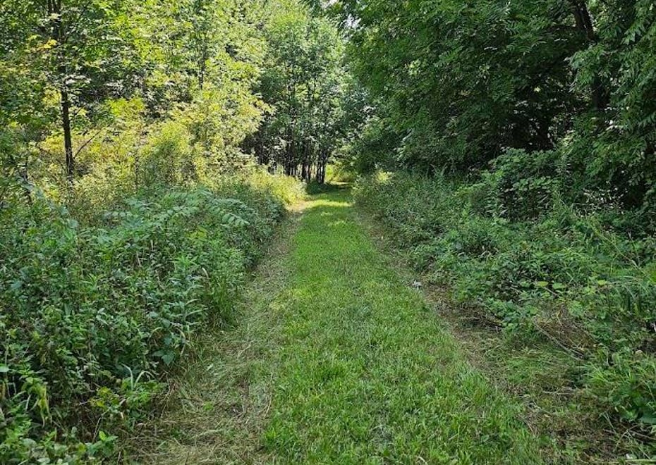 Remote image