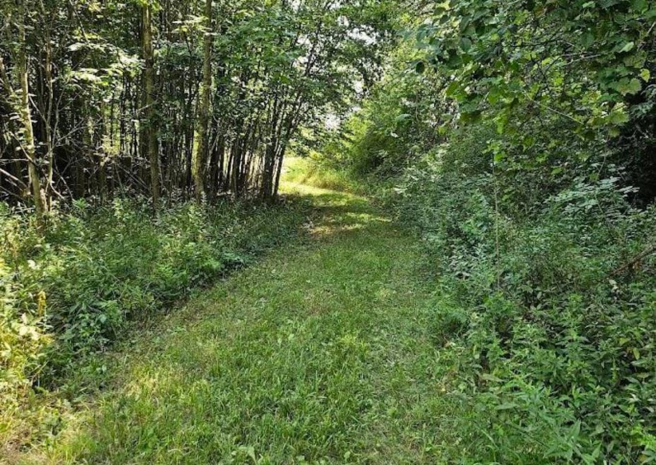 Remote image