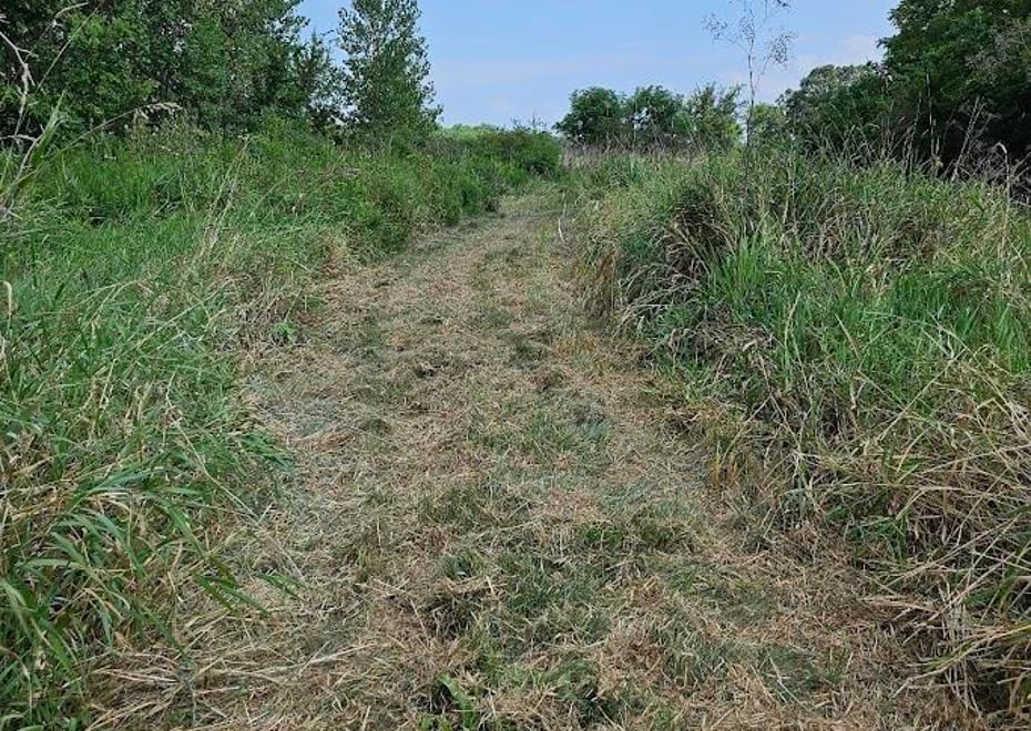 Remote image