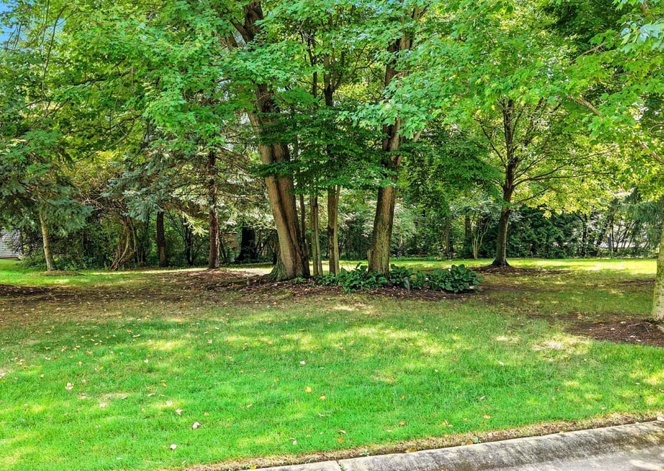 Remote image