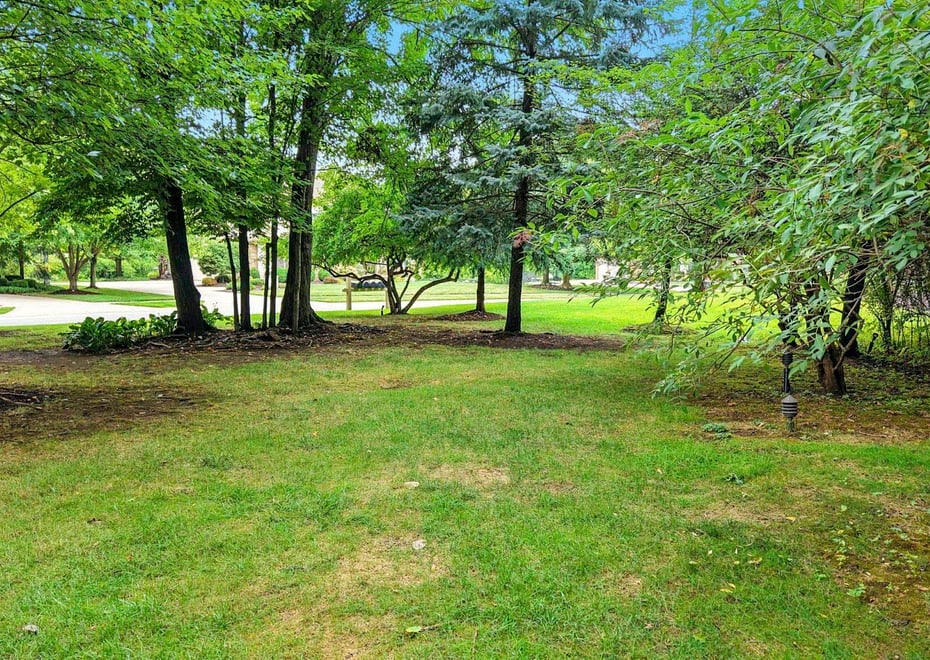 Remote image
