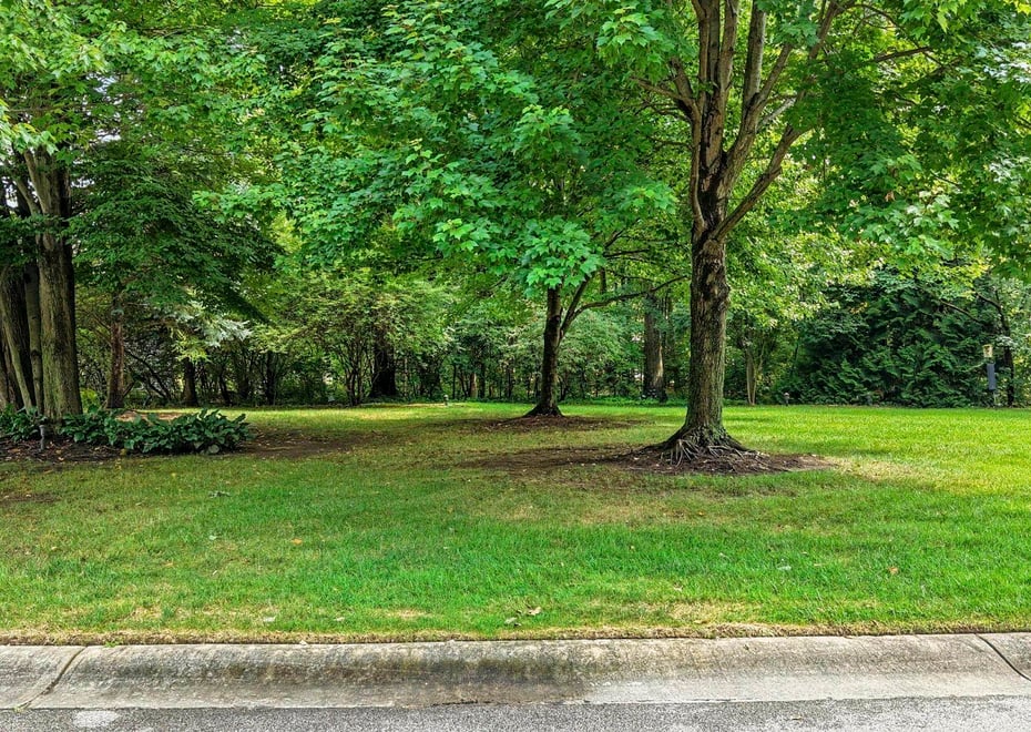 Remote image