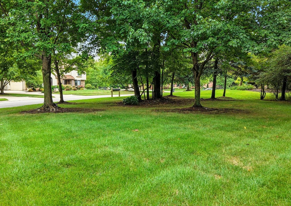 Remote image