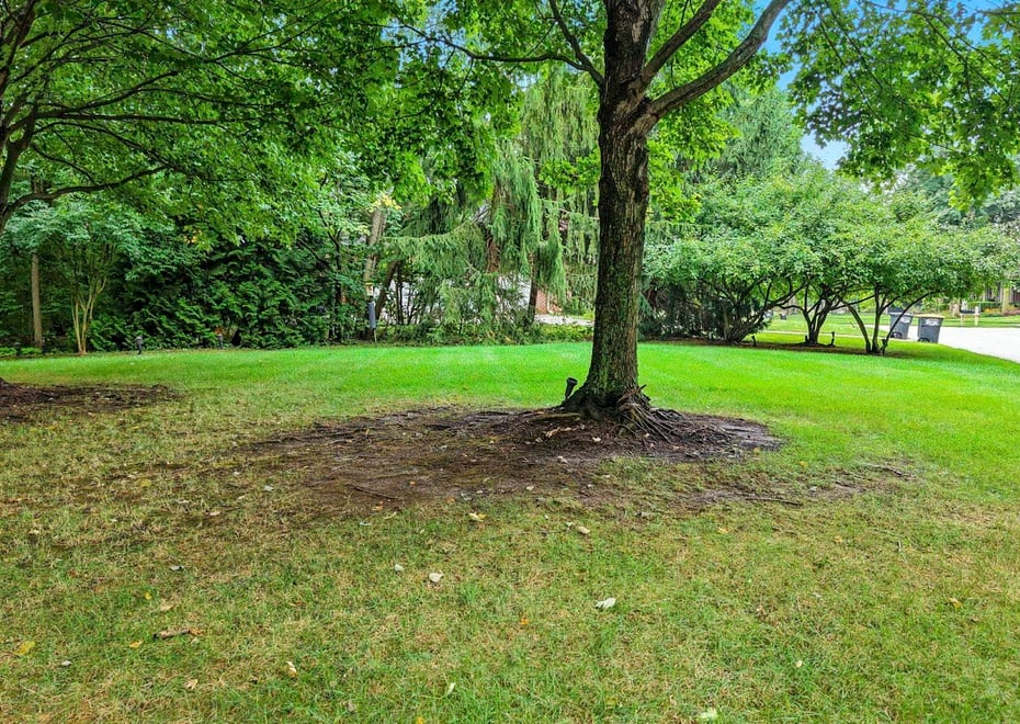 Remote image