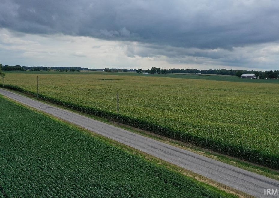 Remote image