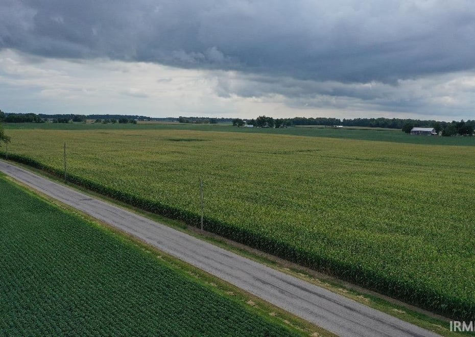 Remote image