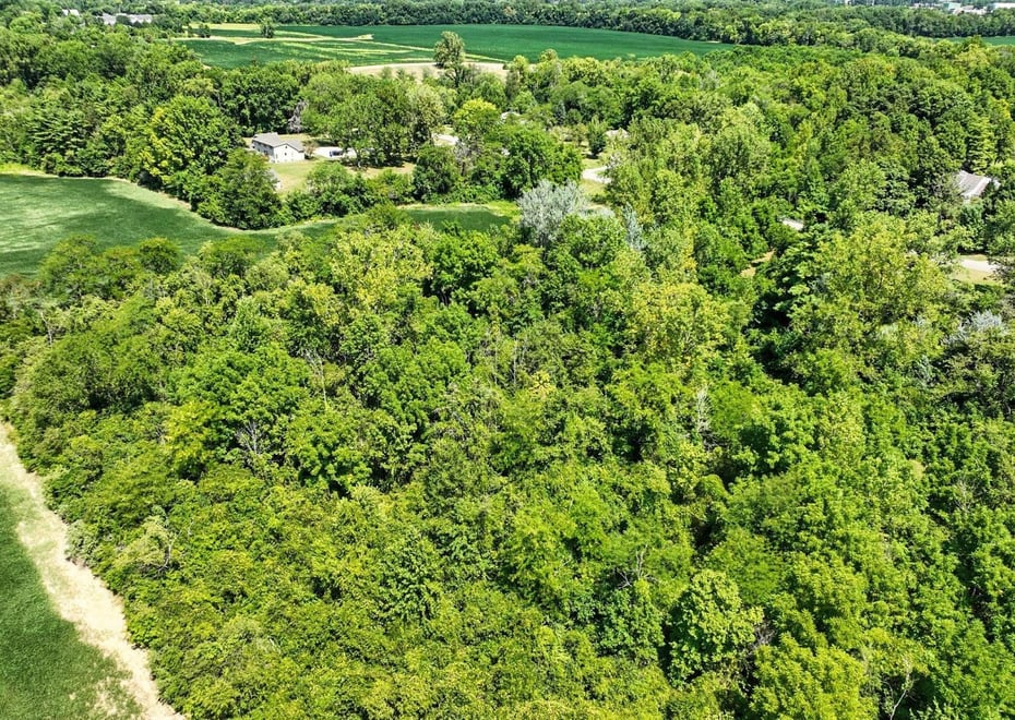 Remote image
