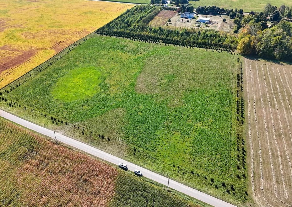 Remote image