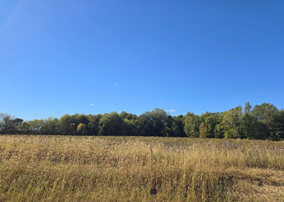 Remote image