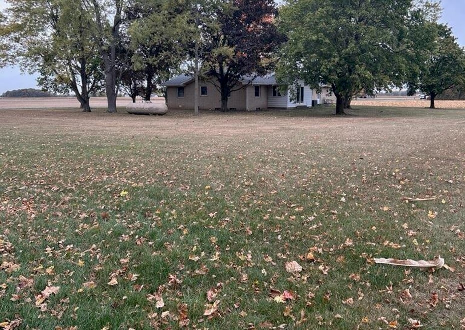 Remote image
