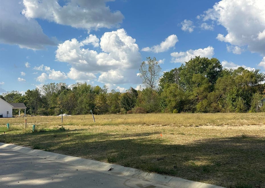 Remote image