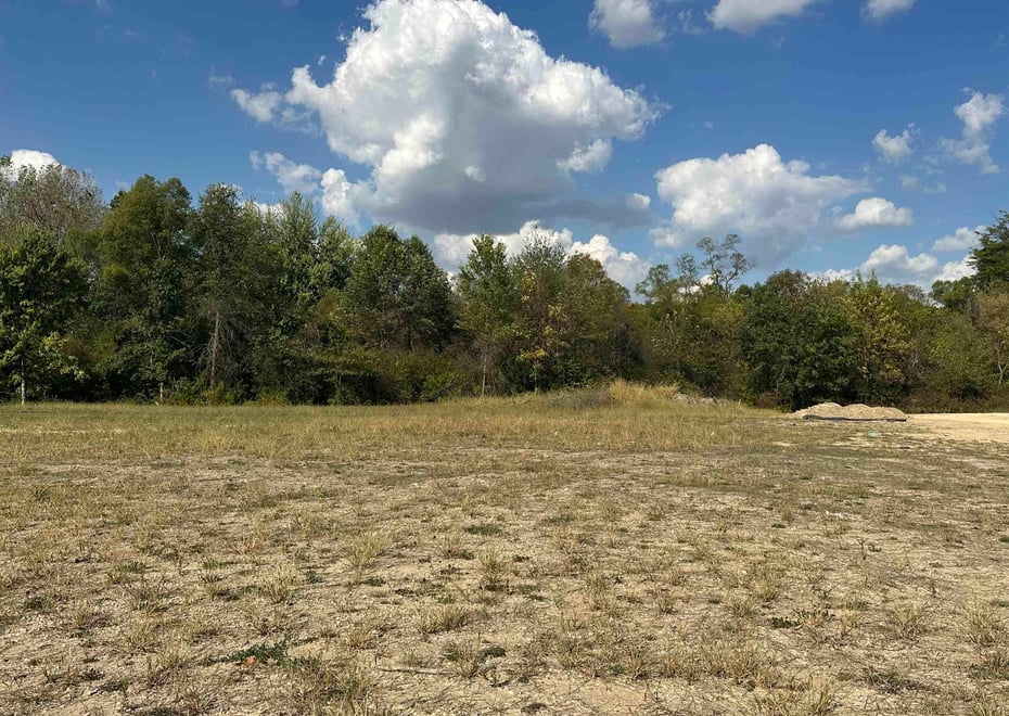 Remote image