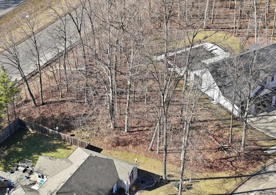 Remote image