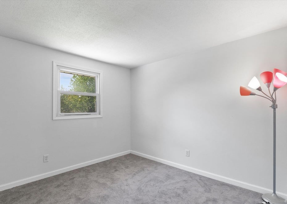 Remote image