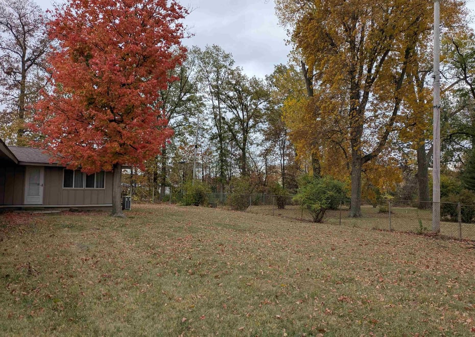 Remote image