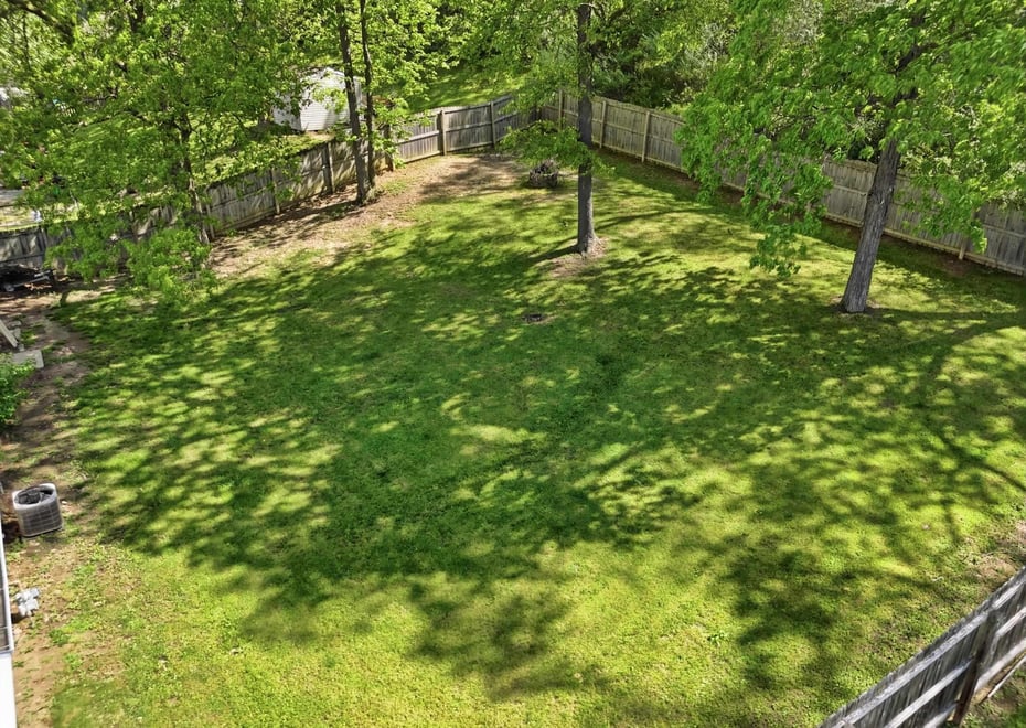 Remote image