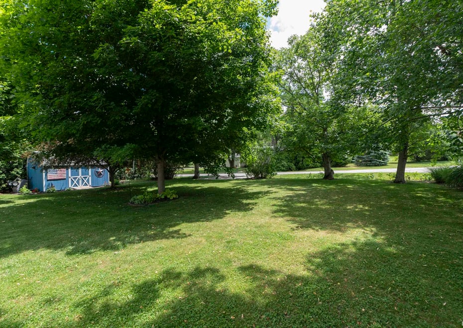 Remote image