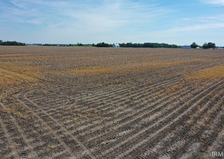 Remote image