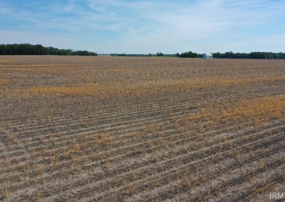 Remote image