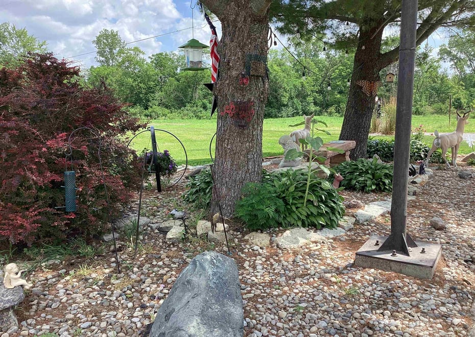 Remote image