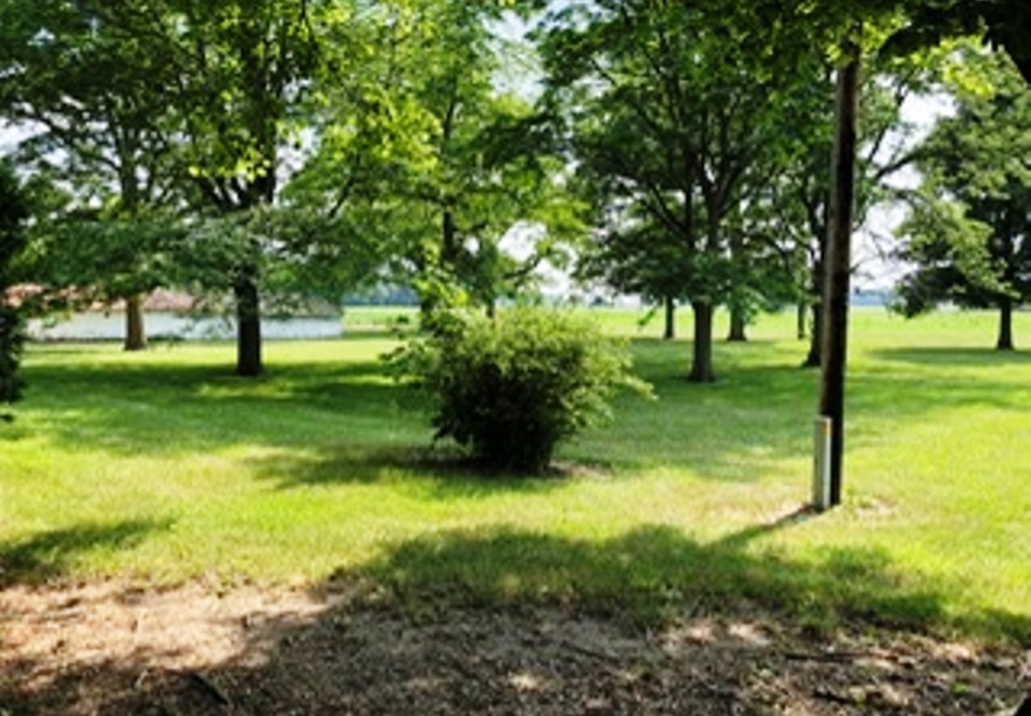 Orchard