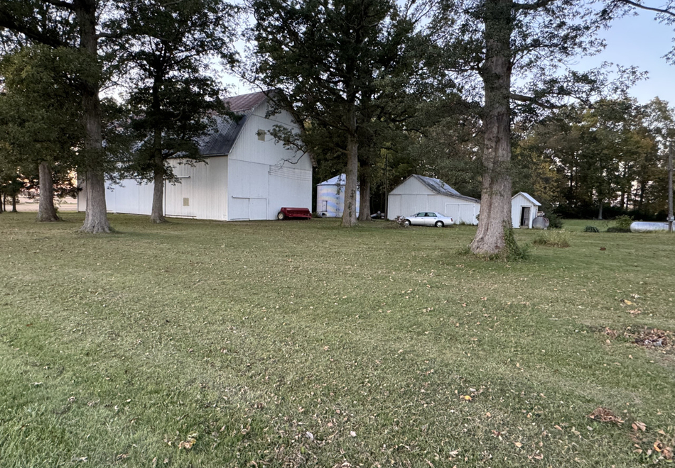 IMG 1645