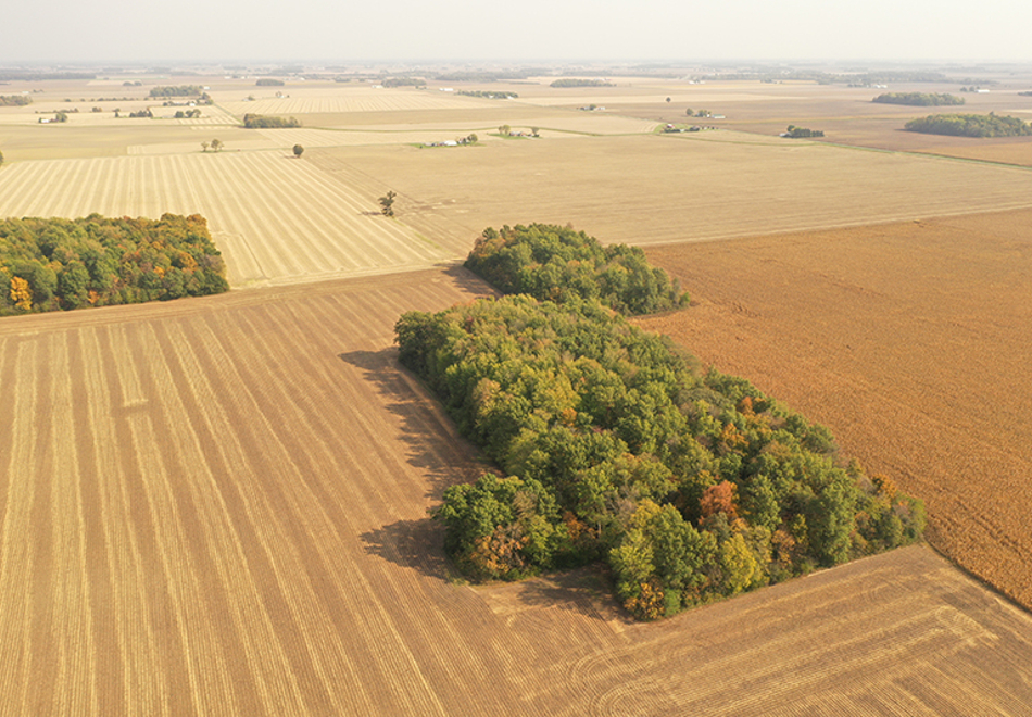 Van wert