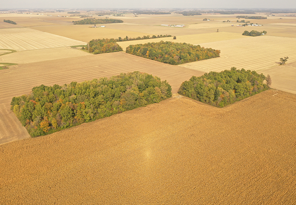 Van wert 3