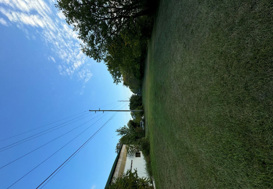 IMG 0955