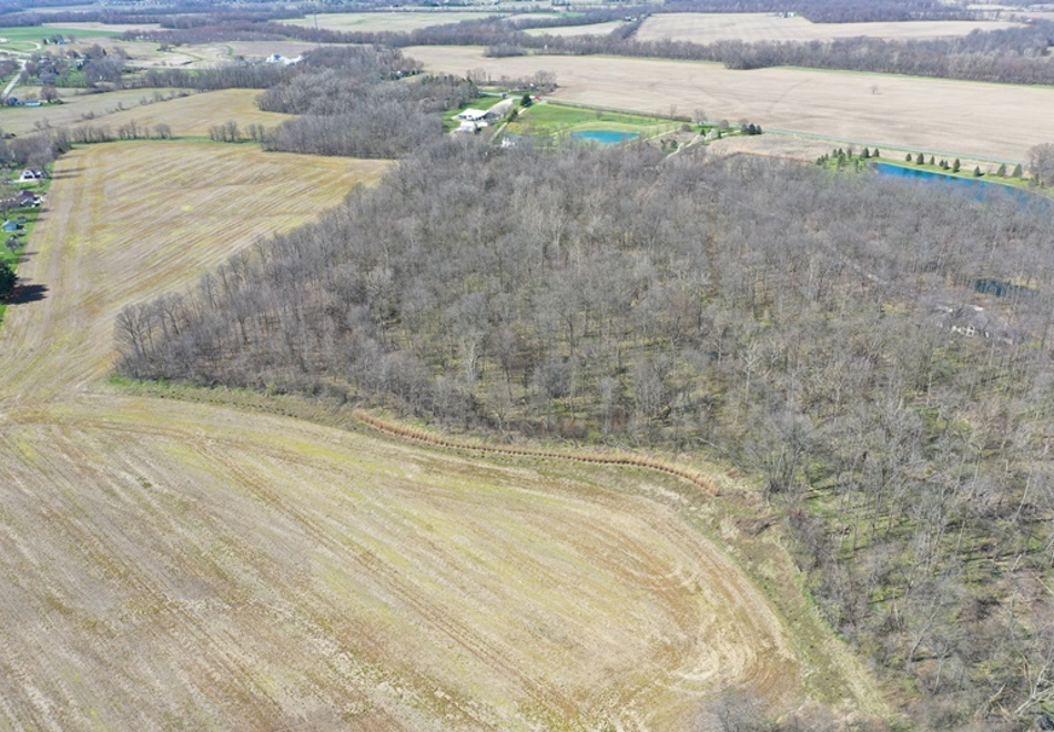 DJI 0861